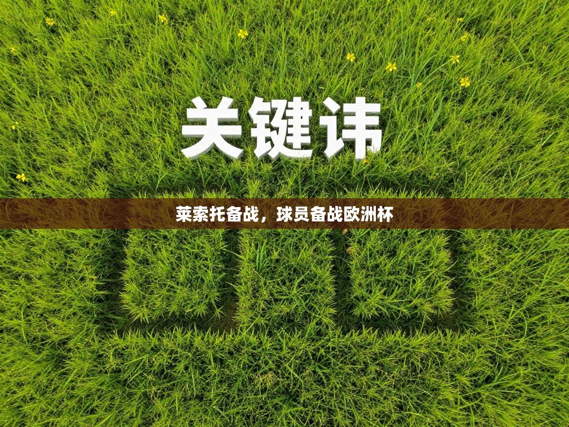 莱索托备战,球员备战欧洲杯 第2张