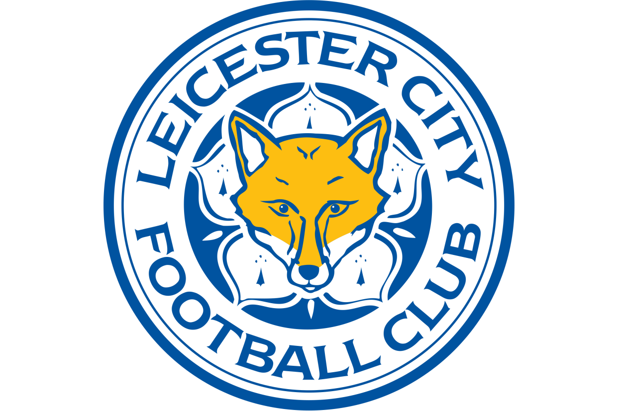 南安普顿备战苦战，坚决保级