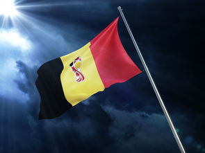 爱游戏官网-来自各国的豪门球队激战，争夺尊贵荣誉